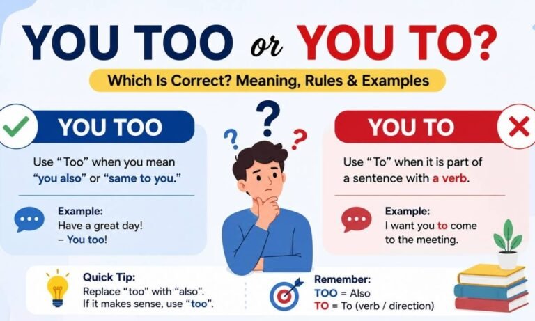 You Too or You To Which Is Correct Meaning, Rules and Examples
